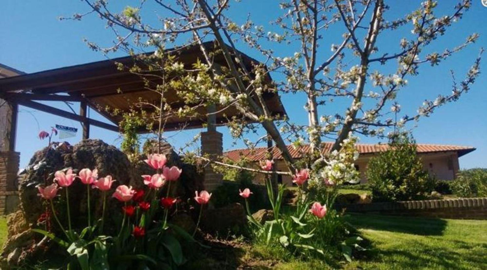 La Mandriana Villa Massa Marittima Eksteriør billede
