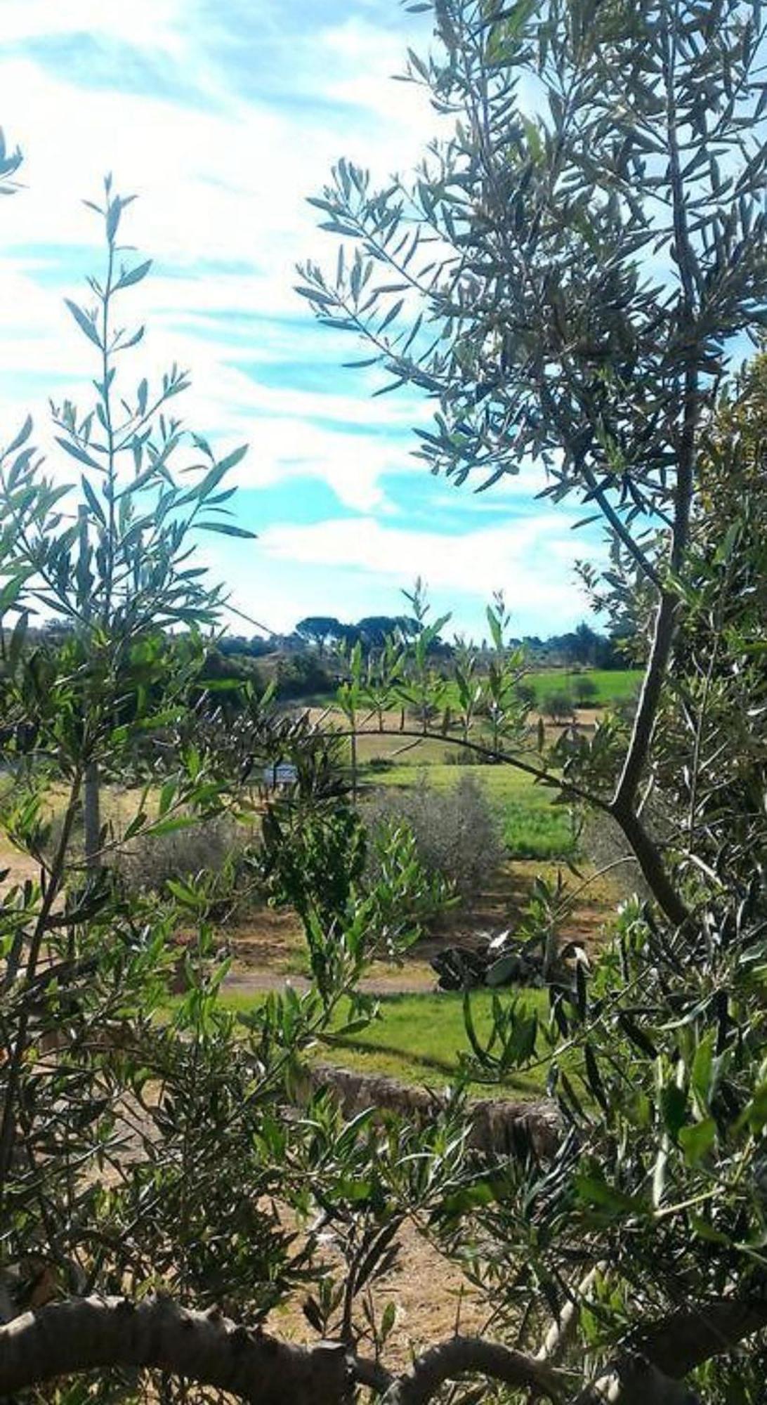 La Mandriana Villa Massa Marittima Eksteriør billede