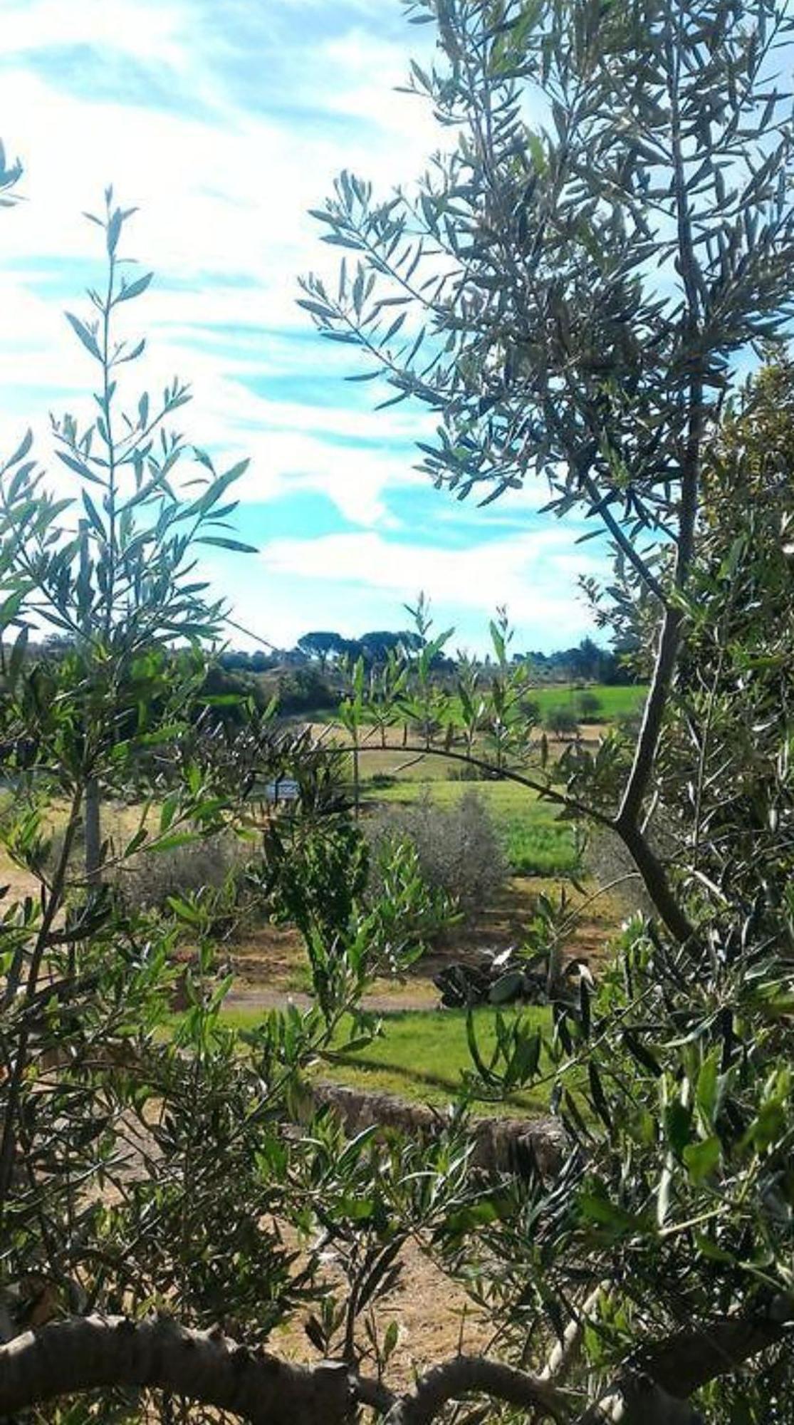La Mandriana Villa Massa Marittima Eksteriør billede